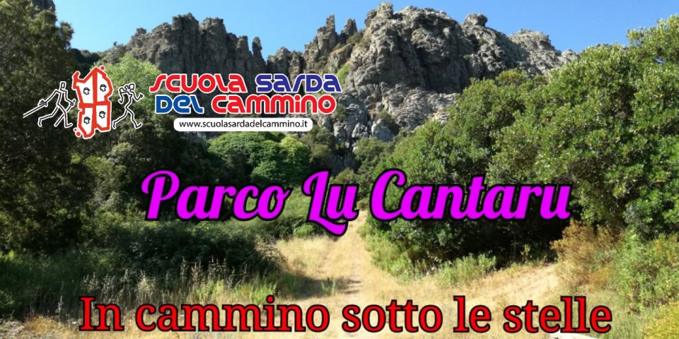 In Cammino sotto le stelle 2017